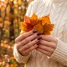Hands with deep burgundy shimmer nails holding autumn leaves against cream knit sweater in fall sunlight