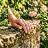 Close-up of a hand with butter yellow nails resting on a sunlit garden wall in warm afternoon light