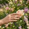 Manicured hand with spring nail colors reaching toward single flower bloom in garden bed with dappled sunlight